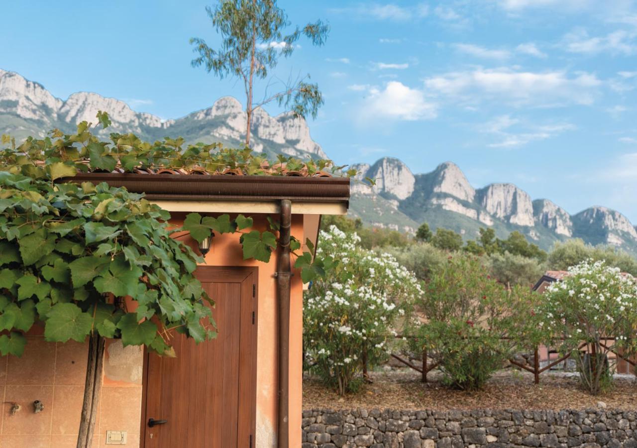 Postiglione Il Sorgituro - Agriturismo מראה חיצוני תמונה