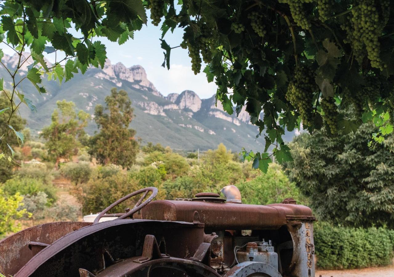 Postiglione Il Sorgituro - Agriturismo מראה חיצוני תמונה