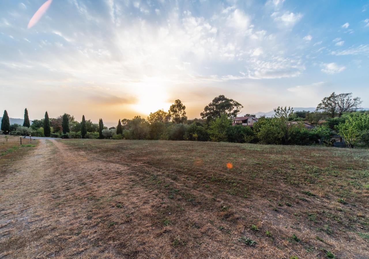Postiglione Il Sorgituro - Agriturismo מראה חיצוני תמונה